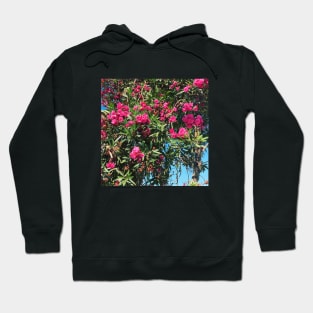 Pretty Pink Flowers Photography design with blue sky nature lovers Hoodie